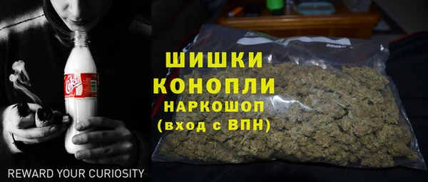 гашик Балахна