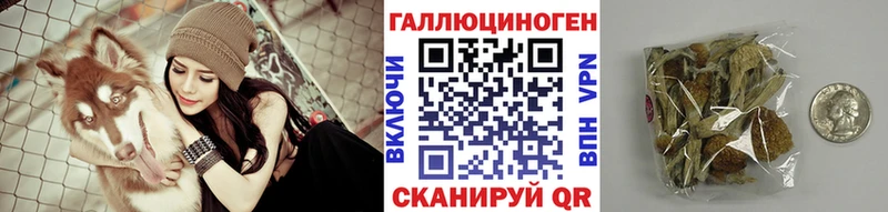 Псилоцибиновые грибы Cubensis  закладки  Коммунар 