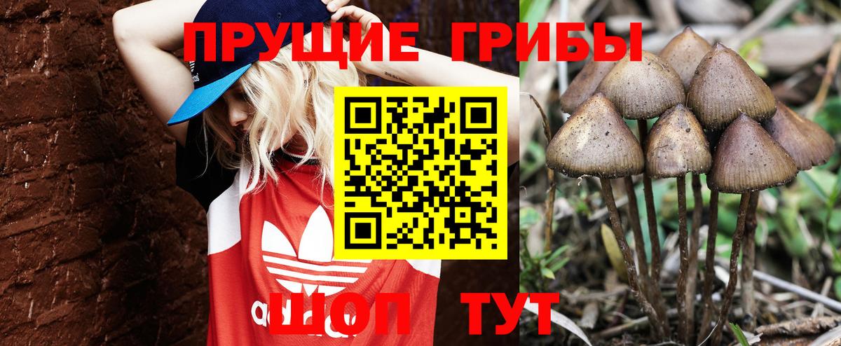 Псилоцибиновые грибы мухоморы  Вход с VPN  Коммунар  Псилоцибиновые грибы Magic Shrooms 
